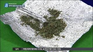 [목포MBC]광주도 이젠 마약청정 아니다(R)