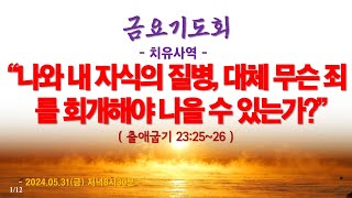 온라인 금요기도회(2024.5.31/금) 나와 내 자식의 질병, 대체 무슨 죄를 회개해야 나을 수 있는가?(출애굽기 23:25~26)_동탄명성교회 정보배목사