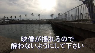 浜名湖海釣り公園T字堤防3番 水中映像2018年12月下旬