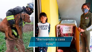 Socavón Puebla. La Familia de Spay feliz por su regreso