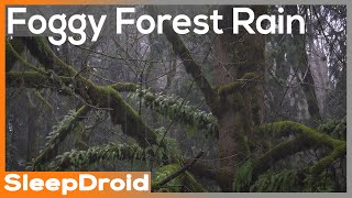 ► Foggy Forest Rain Sounds for Sleeping, Relaxing Rain Noise (No Thunder) (Lluvia para dormir)