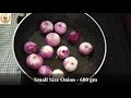 stuffed baby onion curry કાઠીયાવાડી આખી ભરેલી ડુંગળી નુ શાક bhareli masaledar pyaaz ki sabji