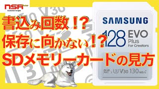 Determine the key to SD memory cards: transfer speed, number of writes, and long-term storage!