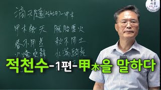 적천수-1편-갑.목을 말하다.