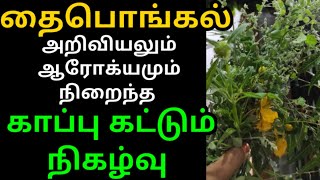 தை பொங்கல் காப்பு கட்டுவதன் வியக்கும் மருத்துவ பயன்கள்| kappu kattuthal tamil| tamil pongal festival