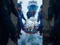 a polar bear and its cubs is being rescued by a brave rescue team ai icebears shorts sunbear