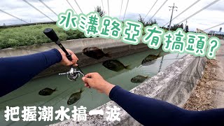 水溝路亞可以釣到那些魚呢？ #路亞 #假餌 #米諾 #根魚