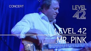 Level 42 - Mr. Pink (Live in Holland 2009) OFFICIAL