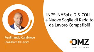 INPS: NASpI e DIS-COLL le Nuove Soglie di Reddito da Lavoro Compatibili