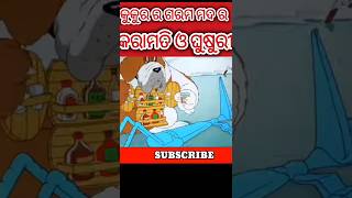 କୁକୁର ର ମଦ ର କରାମତି ଓ ଘୁଷୁରୀ #yt #shortsfeed #shorts#new #funny #ytshorts