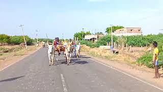 கிடாக்குளம்ராமநாதபுரம்( மா)சின்னமாடு 26.06.2022