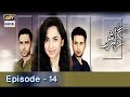 Guzarish Episode 14 - ARY Digital Drama