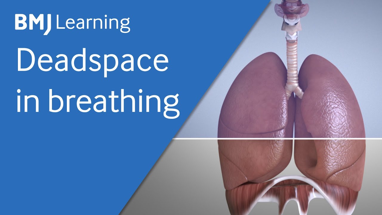 Basics Of Ventilation: Deadspace In Breathing - YouTube