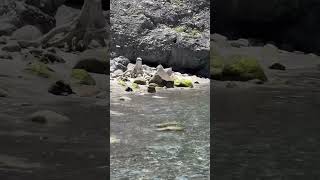 式根島、中の浦海岸秘密の情報です🎣🏄‍♀️🌴🏊🧘🛶