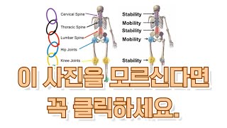 재활운동의 기본 (허리, 무릎, 어깨 등 모든 관절에 해당함)