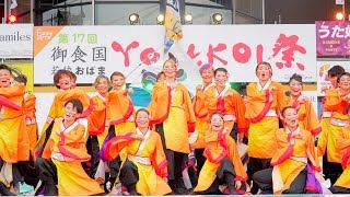 [4K] 福井大学よっしゃこい　御食国 若狭おばまYOSAKOI祭り 2019 (中央)