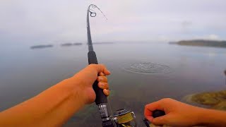 Shallow Water Kingfish - Landbased Stickbaiting New Zealand