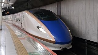 JR東日本上越新幹線E7系F28編成たにがわ407号越後湯沢行き上野駅到着(2023/5/7)