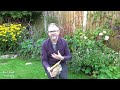 gardening jobs u0026 tasks for october what to do in the garden in autumn protect tender perennials