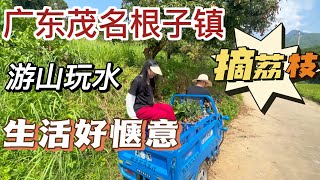 廣東茂名 | 高州市根子鎮 | 摘荔枝 | 大灣區生活 | 山清水秀好地方 |