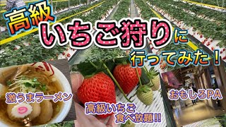 【栃木で珍道中!?#12】((最終話)) お菓子の城で、高級いちご食べ放題!!