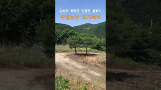 강원도 화천군 간동면 용호리 // 해당면적 : 1,039 m² [ 314 평]  // 매매가 [ 면적당 ] : 45 만원