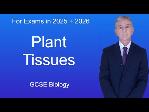Is a flower a tissue or an organ?