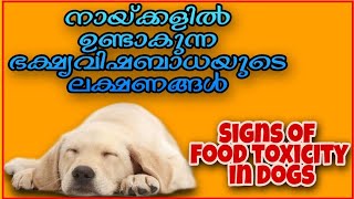 നായ്ക്കളിൽ ഉണ്ടാകുന്ന ഭക്ഷ്യവിഷബാധയുടെ  ലക്ഷണങ്ങൾ എന്തെല്ലാം