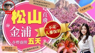 不只是旅遊！韓服體驗+DIY泡菜讓你感受最道地的韓國味！弘大鬧區必逛景點。韓國旅遊美食天堂！韓式炸雞、海鮮鍋、生肉吃到飽，讓你吃到不想走！五天韓國之旅，打破你對團體行程的刻板印象！360度全景體驗！