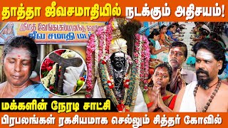 வேண்டியது 7 வாரத்தில் நடக்கும் ! தாத்தா சாமியின் அற்புதங்கள் | Thatha Kovil Chennai | Jeeva Samadhi