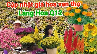 Cập Nhật Giá Hoa Vạn Thọ Ngày 22 Tết Tại Làng Hoa Thới An Q12