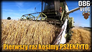 Kosimy PSZENŻYTO - po raz pierwszy w naszym gospodarstwie. Plan na paszę. Żniwa 2022 odc.5 | Vlog#86