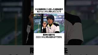 元阪神の監督 金本知憲に関する雑学