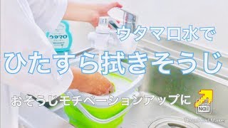 【おそうじ動画】ひたすら拭きそうじ！ウタマロ水を使います