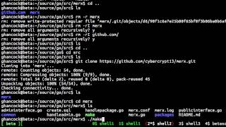 Downloading The Merx Source Code from github