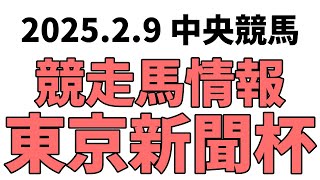 【東京新聞杯】中央競馬情報 2025年2月9日【ウマ娘産駒】