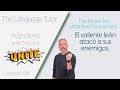 Adjectives and Nouns Working Together in Spanish | The Language Tutor *Lesson 66*