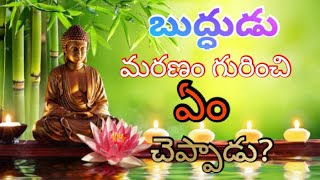 బుద్ధుడు మరణం గురించి ఏం చెప్పాడు? - Budhha About Death...#budhha #death #realstory #philosophy