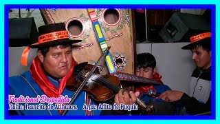 TRADICIONAL CARAMUZA CCAHUALLACCTA CON ARPA Y VIOLIN