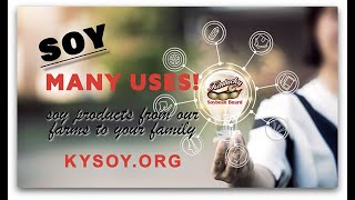 Soy Many Uses