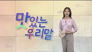 [2022 맛있는 우리말] 12회 / 연합뉴스TV (YonhapnewsTV)