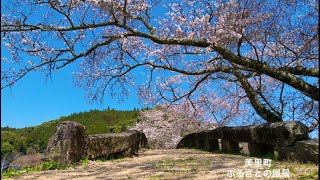 【ふるさとの風景】美里町　さくらと石橋　ドローン撮影　#熊本県 #美里町 #石橋 #桜 #さくら #djiair2s