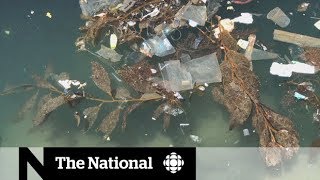 Cleaning up the Great Pacific Garbage Patch | Dispatch