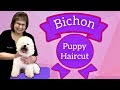 BICHON puppy HAIRCUT. STEP by STEP. Watch this 5 month old BICHON get groomed & Stretch/fluff dried.