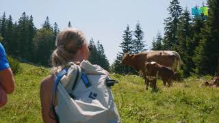 Doživite Kamnik - Menina planina