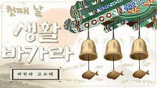 바카라 고수레 채널 소개