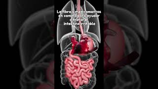 ¡Libérate de los síntomas del #intestinoirritable! - Doctores Especialistas