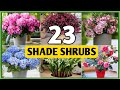 23 Best Shade Loving Shrubs For Garden | Shade Garden Shrubs | Plant and Planting