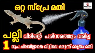 ഒറ്റ സ്പ്രേ മതി 1രൂപ ചിലവില്ലാതെ പല്ലിയെ വീട്ടിൽ നിന്നും തുരത്തി ഓടിക്കാം / How To Get Rid of Lizard