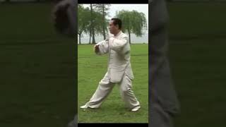 Yang Style Tai Chi 85 Forms.  Master Zhao Youbin